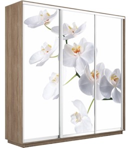 Шкаф Экспресс 2400х450х2400, Орхидея белая/дуб сонома во Владивостоке - предосмотр