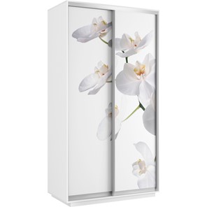 Шкаф Хит 1200x600x2200, белая орхидея, белый снег в Уссурийске