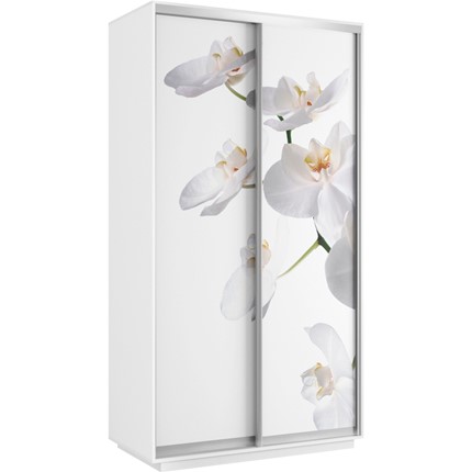 Шкаф Хит 1200x600x2200, белая орхидея, белый снег в Уссурийске - изображение