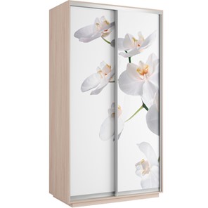 Шкаф 2-х створчатый Хит 1200x600x2200, белая орхидея, дуб молочный в Артеме