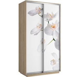 Шкаф 2-дверный Хит 1200x600x2200, белая орхидея, дуб сонома во Владивостоке
