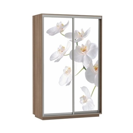 Шкаф двухдверный Экспресс 1200x600x2400, Орхидея белая/шимо темный во Владивостоке - изображение