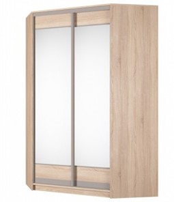 Угловой шкаф Аларти (YA-230х1400(602) (10) Вар. 2; двери D2+D2), с зеркалом в Уссурийске