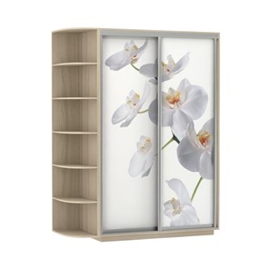 Шкаф 2-створчатый Экспресс 1700x600x2400, со стеллажом, Орхидея белая/шимо светлый во Владивостоке