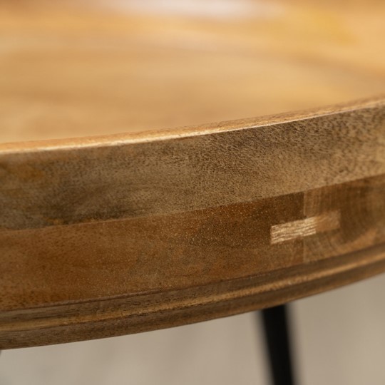 Круглый стол Сампати Манго в Артеме - изображение 3