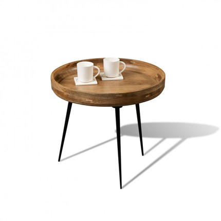 Круглый стол Сампати Манго в Артеме - изображение