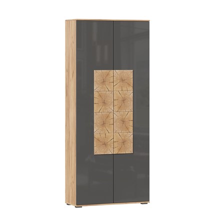 Шкаф двухстворчатый Фиджи, 659310, антрацит\дуб золотой в Артеме - изображение