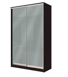 Шкаф двухстворчатый Хит-22-12-22 с цветным стеклом, средне-серый 074, Венге в Уссурийске