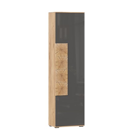 Шкаф одностворчатый Фиджи, 659300, антрацит/дуб золотой в Артеме - изображение