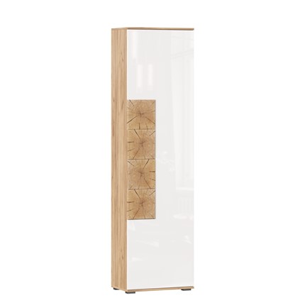 Шкаф одностворчатый Фиджи, 659300, белый/дуб золотой в Артеме - изображение
