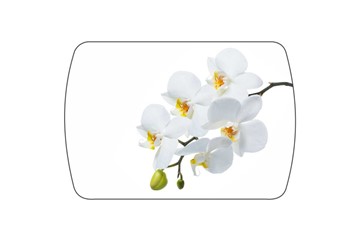 Кухонный раздвижной стол Танго, белый/орхидея во Владивостоке - предосмотр 3