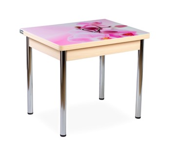 Кухонный пристенный стол СПА-01 СТФ, молочный дуб/фотопечать орхидея/опоры прямые хром в Артеме - предосмотр
