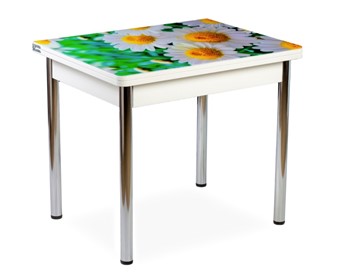 Кухонный пристенный стол СПА-02 СТФ, белый/фотопечать ромашки/опоры хром в Находке