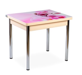 Кухонный пристенный стол СПА-02 СТФ, молочный дуб/фотопечать орхидея/опоры хром в Артеме