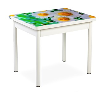 Кухонный пристенный стол СПА-07 СТФ, белый/фотопечать ромашки/опоры прямые белый в Артеме