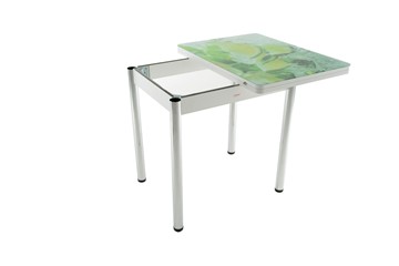 Кухонный стол раскладной Бари дерево №8 (стекло белое/белый) в Артеме - предосмотр 2