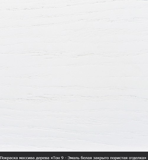 Стол раздвижной Фабрицио-1 исп. Круг 820, Тон 9 (Морилка/Эмаль) во Владивостоке - изображение 16
