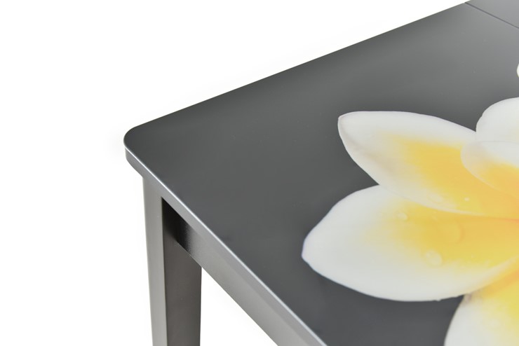 Кухонный стол раздвижной Гамбург исп. 1, ноги метал. крашеные №23 (Exclusive h273/черный) во Владивостоке - изображение 9