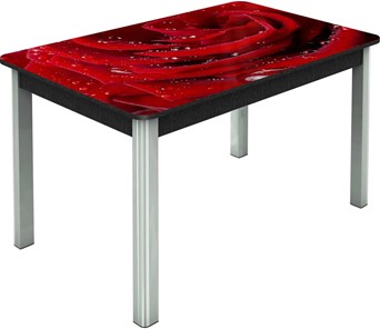 Раздвижной стол Гамбург исп. Мини, ноги метал. крашеные №23, Фотопечать (Цветы №39) в Уссурийске