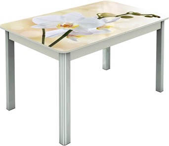 Обеденный раздвижной стол Гамбург исп.2 ноги метал. крашеные №23, Фотопечать (Цветы №5) в Находке