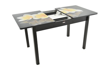 Кухонный раздвижной стол Гамбург Мини, ноги метал. крашеные №23 (Exclusive h140/черный) во Владивостоке - предосмотр 2