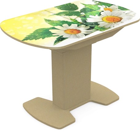 Кухонный стол раскладной Корсика исп. 2 Фотопечать (Цветы №3) 1200(1515)*800 во Владивостоке - изображение