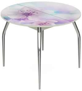Кухонный стол раздвижной Ривьера - Круг, ноги метал. крашеные №24, ФП (Цветы №40) в Артеме