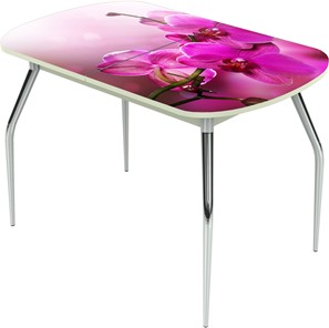 Кухонный раскладной стол Ривьера исп.1 ноги метал. крашеные №24 Фотопечать (Цветы №16) в Уссурийске
