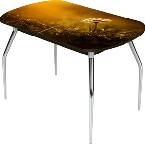 Кухонный раздвижной стол Ривьера исп.1 ноги метал. крашеные №24 Фотопечать (Цветы №43) во Владивостоке