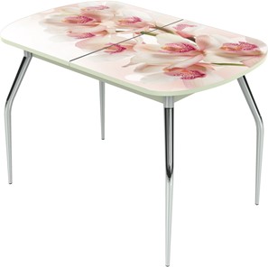 Раздвижной стол Ривьера исп.2 ноги метал. крашеные №24 Фотопечать (Цветы №8) в Артеме