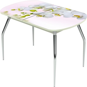 Кухонный стол раскладной Ривьера исп.1 ноги хром №5 Фотопечать (Цветы №7) в Артеме