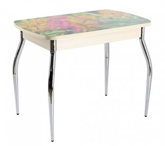 Кухонный стол раскладной ПГ-07 СТФ, дуб молочный лдсп/луговые цветы/35 хром гнутые в Артеме