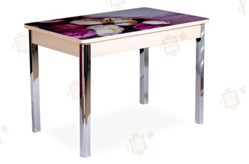 Кухонный раздвижной стол Айсберг-01 СТФ, дуб/фотопечать пионы/ноги хром квадратные в Артеме