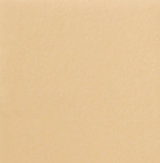 Стул обеденный Ричи С104  (отшив-полоска, опора-конус стандартная покраска) в Артеме - изображение 5