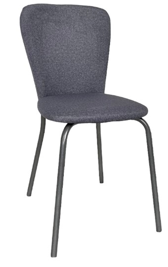 Обеденный стул Роджер Эконом С102-2(стандартная покраска) в Артеме - изображение 1