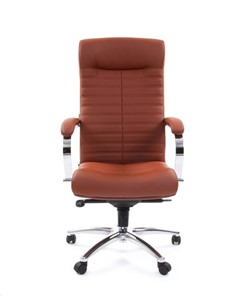Кресло компьютерное CHAIRMAN 480 Экокожа Terra 111 (коричневая) в Артеме - предосмотр 1