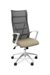 Офисное кресло для руководителя Топ X белый каркас, сетка/ткань TW / серая/светло-серая в Артеме - предосмотр