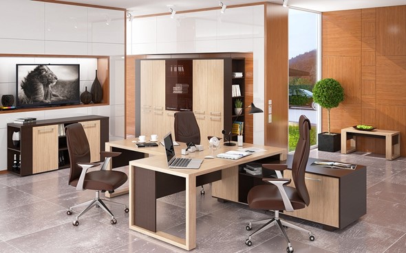 Кабинет руководителя ALTO с брифинг-приставкой, с низким и высокими шкафами в Артеме - изображение