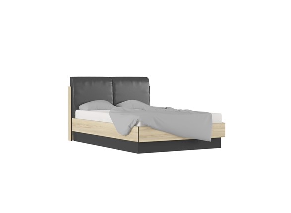 Кровать с механизмом двуспальная Лофт №16.1 во Владивостоке - изображение