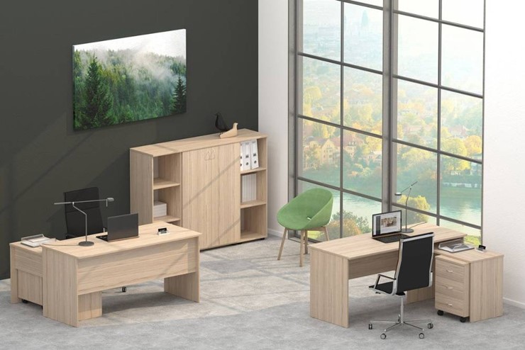 Офисный комплект мебели Twin в Уссурийске - изображение 4