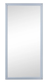 Зеркало навесное в гардероб Ника (Серый) 119,5 см x 60 см в Находке