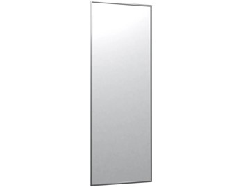 Зеркало навесное в гардероб Сельетта-5 глянец серебро (1500х500х9) во Владивостоке - предосмотр
