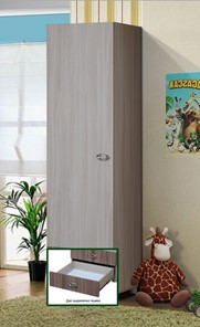 Детский шкаф-пенал Юниор-6 ПМ-13 во Владивостоке - предосмотр 1