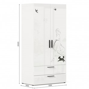 2-створчатый шкаф комбинированный Джоли ЛД 535.040, Серый шелк в Артеме - предосмотр 3