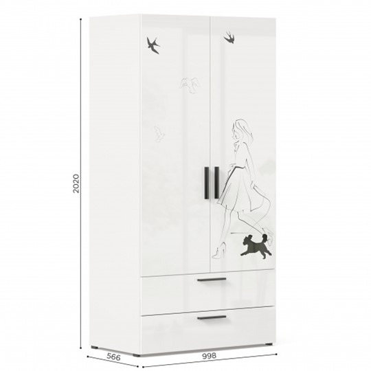2-створчатый шкаф комбинированный Джоли ЛД 535.040, Серый шелк в Артеме - изображение 3