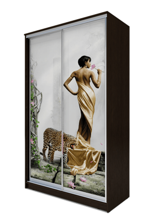 Шкаф 2-х дверный 2200х1200х420, Девушка с леопардом ХИТ 22-4-12-77-03 Венге Аруба во Владивостоке - изображение