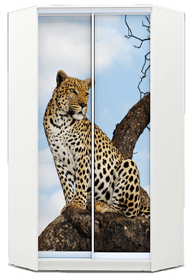 Шкаф угловой 2400х1103, ХИТ У-24-4-77-04, Леопард, белая шагрень во Владивостоке - изображение