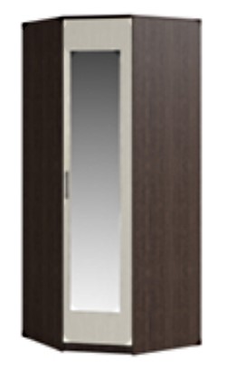 Распашной шкаф угловой Светлана, с зеркалом, венге/дуб молочный в Находке - изображение