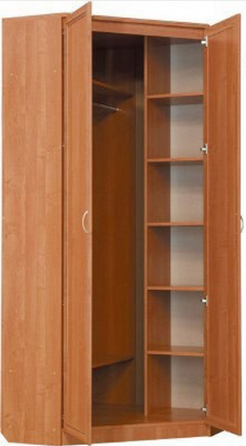 Шкаф 401 угловой со штангой, цвет Венге в Артеме - изображение 1