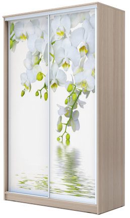 Шкаф 2-х створчатый 2400х1200х620, Белая Орхидея ХИТ 24-12-77-05 Ясень Шимо Светлый во Владивостоке - изображение